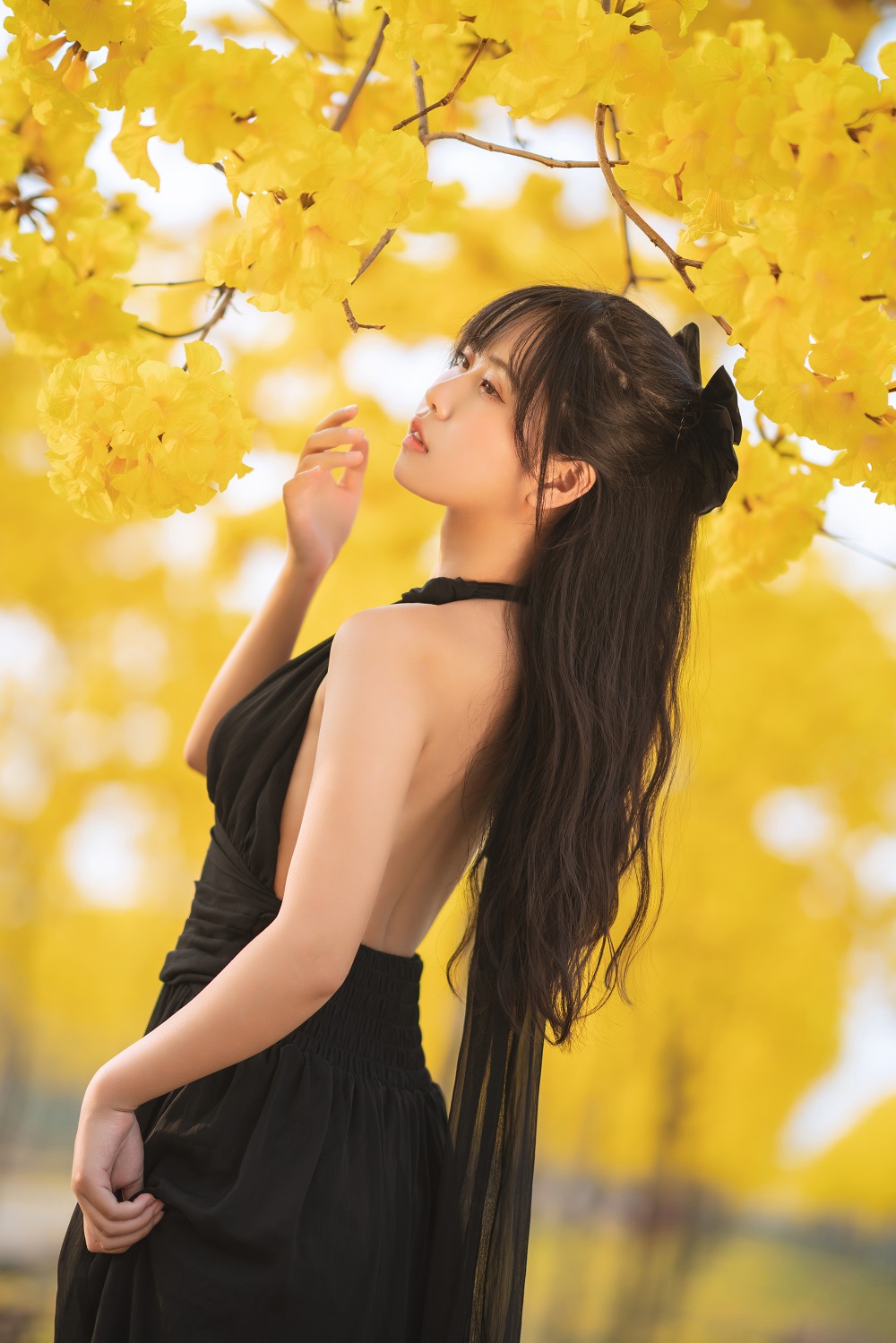萌芽儿-秋有银杏,春有黄风铃[24P]