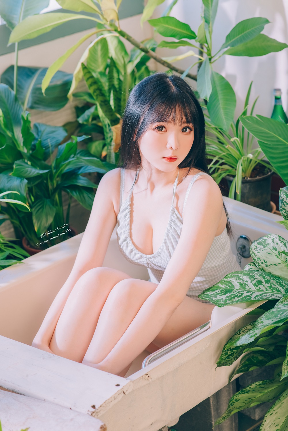 霜月shimo-夏日阳光[32P]