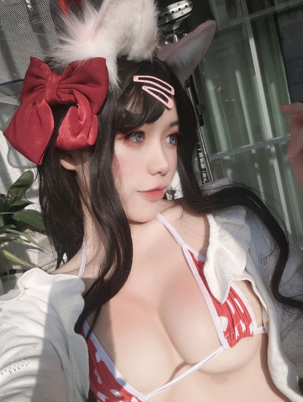 一笑芳香沁-窗与宠物猫[25P]