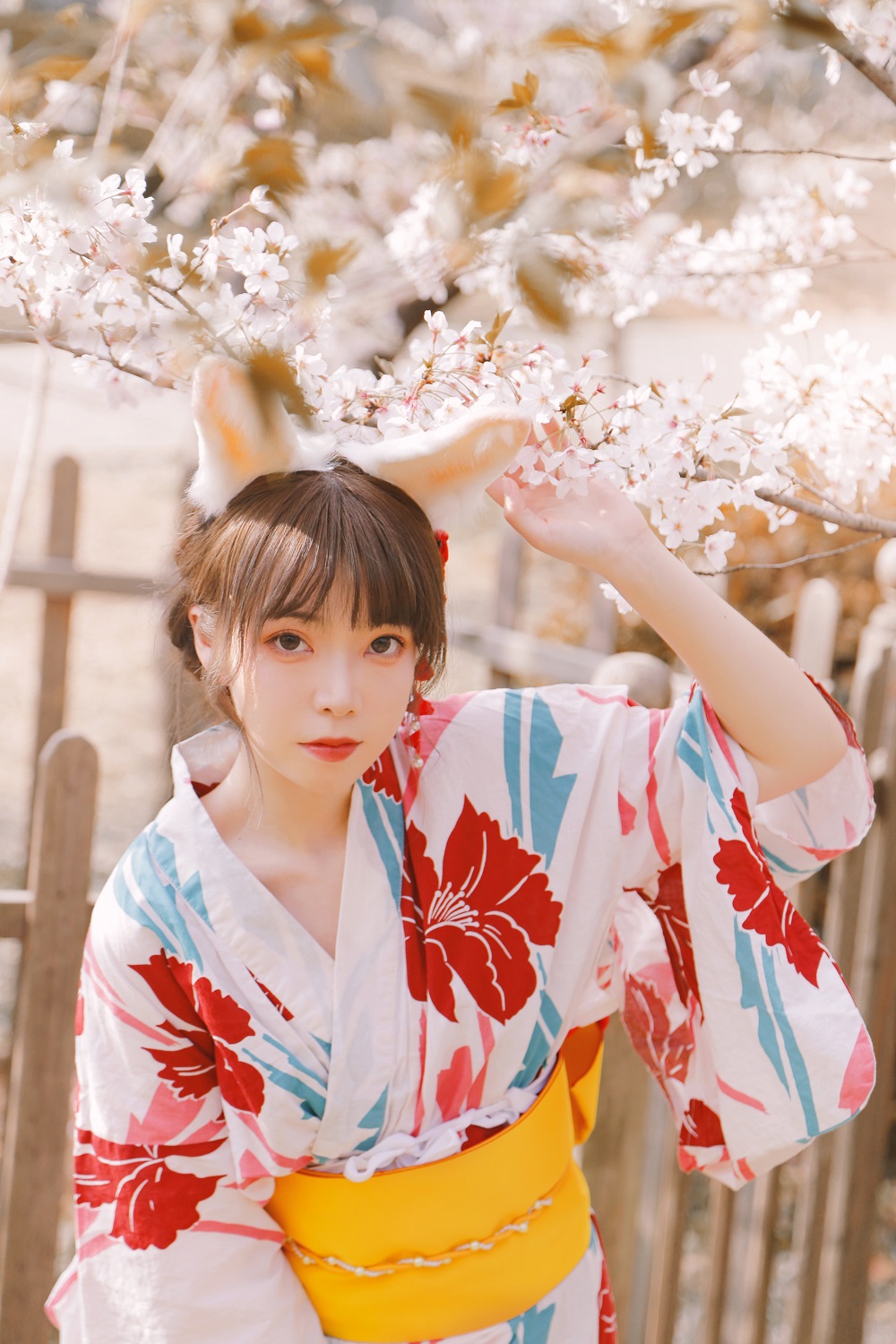 Fushii海堂-樱花兔兔[34P] COS网红博主 预览2图