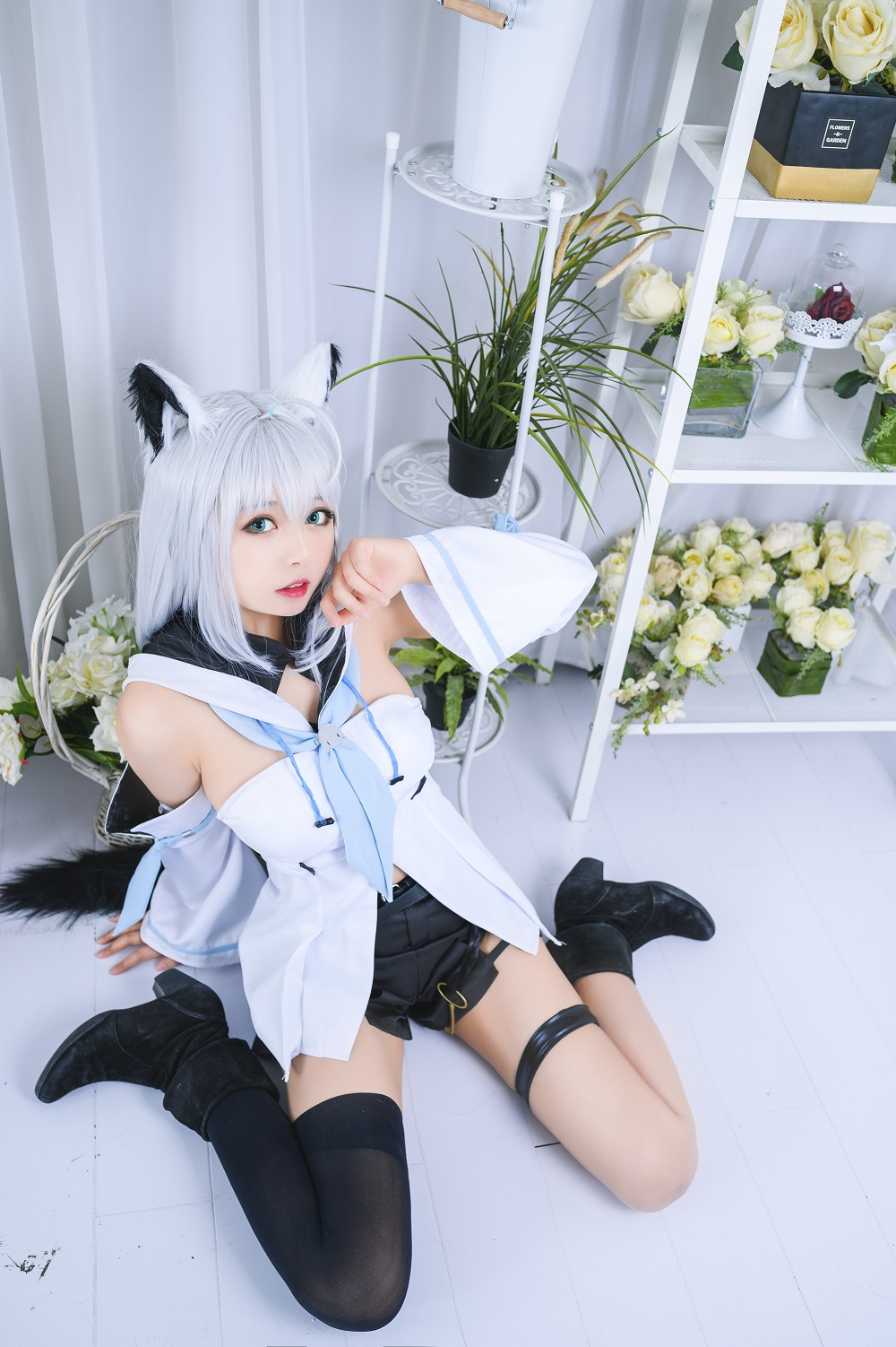 黑猫猫-Hololive-白上吹雪[12P] COS网红博主 预览2图