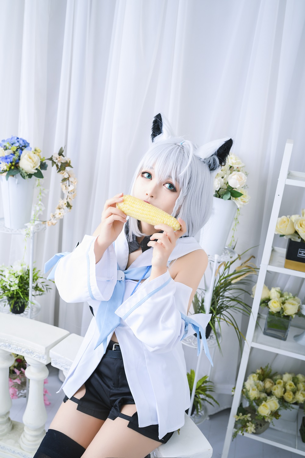 黑猫猫-Hololive-白上吹雪[12P] COS网红博主 预览1图