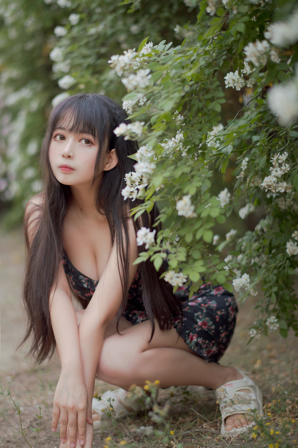 黑猫猫-蔷薇少女1[22P] COS网红博主 预览2图