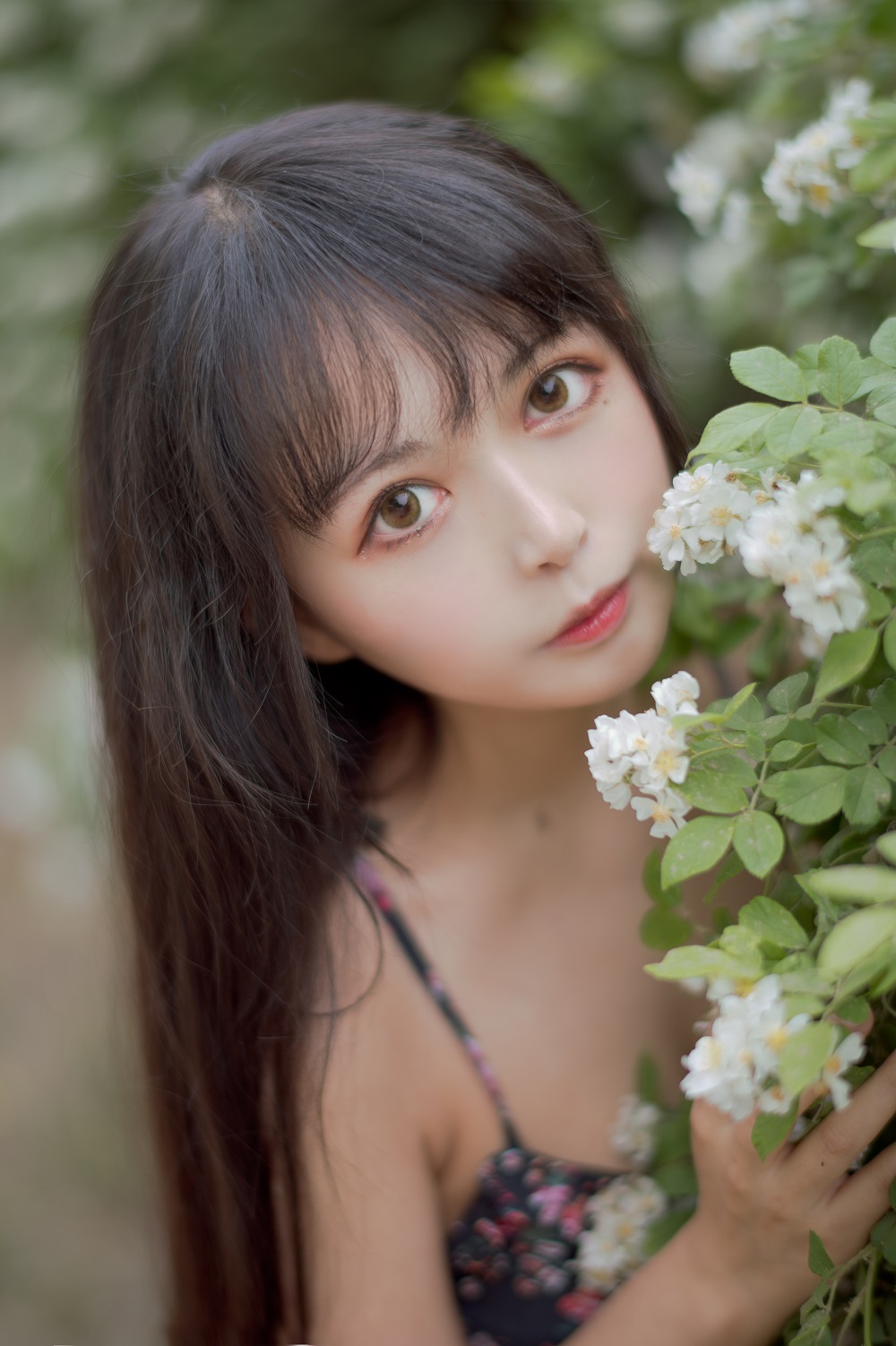 黑猫猫-蔷薇少女1[22P] COS网红博主 预览1图