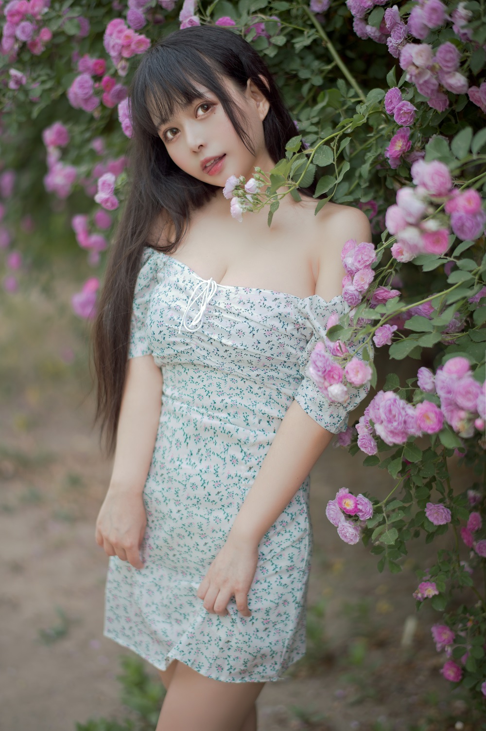 黑猫猫-蔷薇少女2[27P] COS网红博主 预览2图