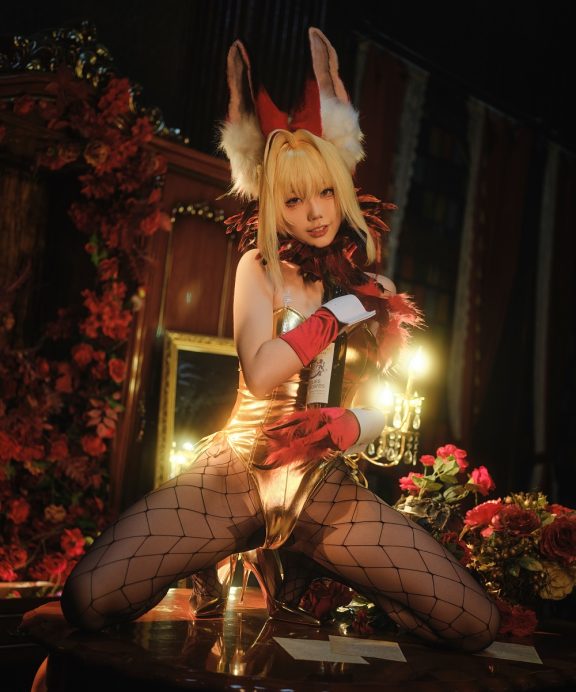 湖里狸里狸-Fate-尼禄兔女郎[30P]